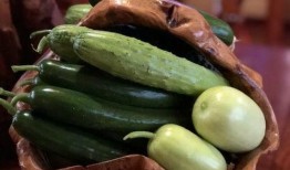 清远网红吃瓜,揭秘背后真相与网络舆论风暴